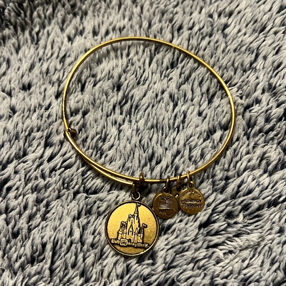 walt disney world alex and ani bracelet